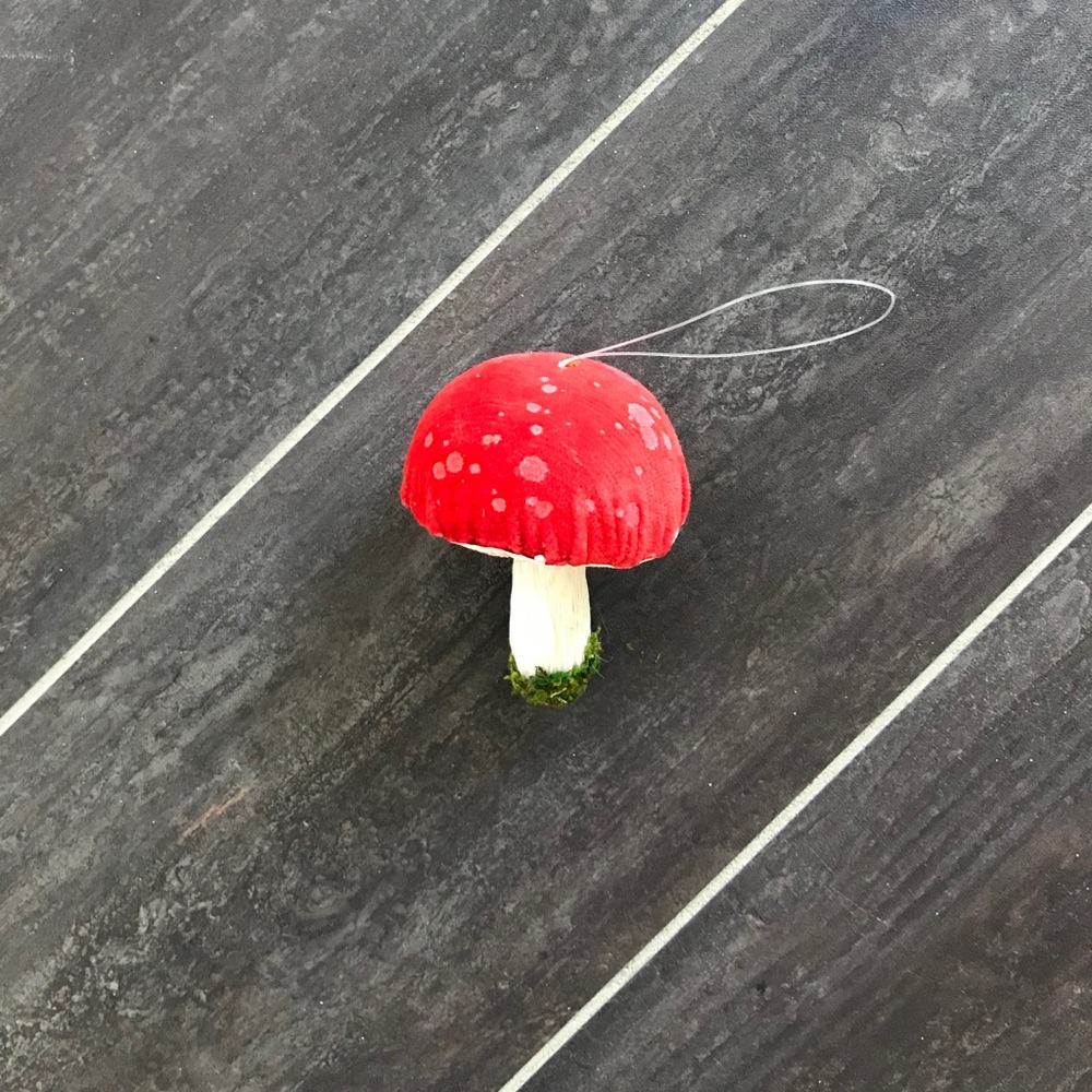 **SOLD**Mushrooms Decor & Ornaments 🍄 - Picture 3 of 7
